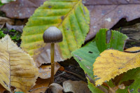 /album/foto-adriano/mg-4976-copia-jpg/